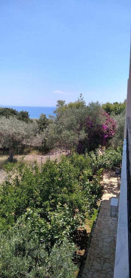 Geranium Villa By The Sea Кинета Экстерьер фото